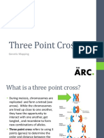 Three Point Crosses: Genetic Mapping