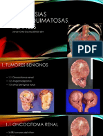 Neoplaias Parenquimatosas Renales