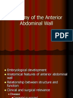 Anatomia Peretelui Abdominal
