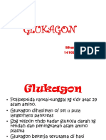 Glukagon.pptx