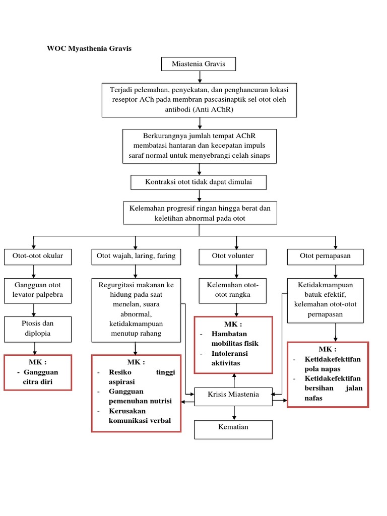 WOC Myasthenia Gravis WOC Myasthenia Gravis