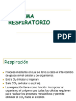 Sistema Respiratorio