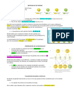 Segunda Ley de Mendel