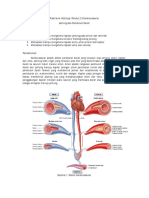 histologi+darah.pdf