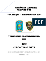 Bases Campeonato 2017 (1)