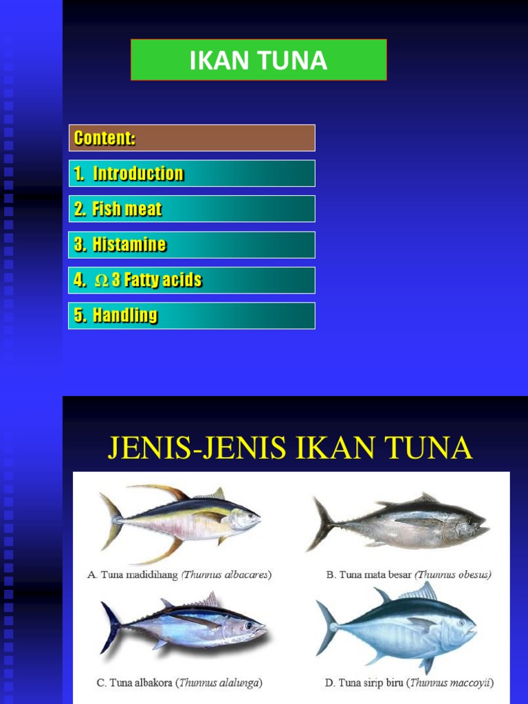 Fish Quality Tuna Handling Guide Pdf Omega 3 Fatty Acid