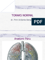 Anatomi Paru Normal