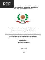 Esquema de Trabajo Suficiencia Profesional
