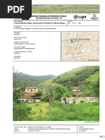 FAZENDA MONTE ALEGRE 