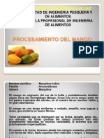 Proceso de Mango