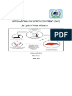 Life Cycle of Avian Influenza
