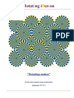 Rotating Illusions PDF