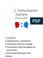 Comunicación Humana Cerebro