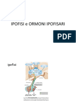 3-IPOFISI e ORMONI IPOFISARI.pdf