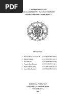 Download Laporan Budidaya Melon by Edwin Pradana SN363667627 doc pdf