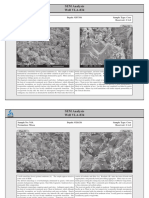 SEM Analysis Well VLA-834: Sample No: 110 Depth: 9287.9ft Sample Type: Core Formation: Misoa Reservoir: C-6-I