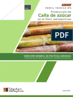 I-Producción de caña de azúcar en el Perú.pdf