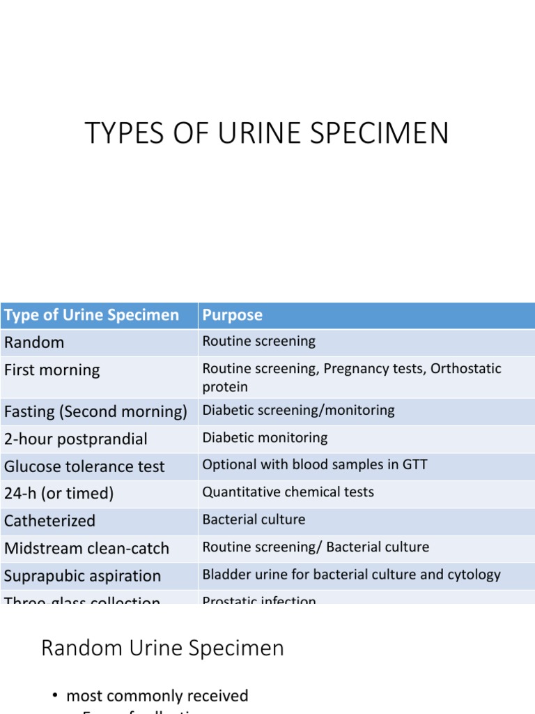 Aubf Lab Types of Urine Specimen Kidney Urine