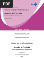 GuiaPrenatal_reunido