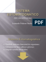 Sistema Estomatognatico [Slides]