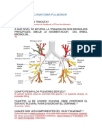 Anatomia CardioPulmonar
