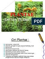 2 Plantae Lumut N Paku