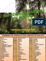 Madera Bolivia Esp PDF