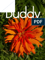 Buddy: A Specimen Book For A New Sans Serif Font Family