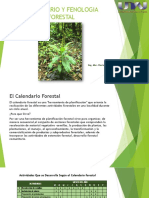 Calendario y Fenología Forestal