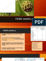 Fiebre Amarilla