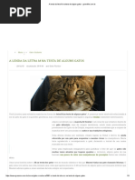 A Lenda Da Letra M Na Testa de Alguns Gatos - GreenMe.com