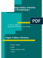 Radiologi Traktus Urinarius Kuliah Modul Bengkulu 2011