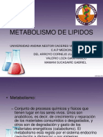 Metabolismo de Lipidos