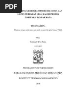 Download Studi Pengaruh Dekomposisi Selulosa dan Lignin Terhadap Nilai Kalor Produk Torefaksi Sampah Kota  deutsches Abstrakt by Rafiandy Dwi Putra SN363721162 doc pdf