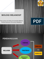 BIOLOGI MELANOSIT.pptx