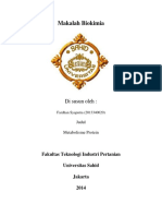 Metabolisme Protein