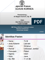 Lapsus Ulkus Kornea