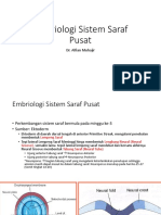 Embriologi Sistem Saraf Pusat