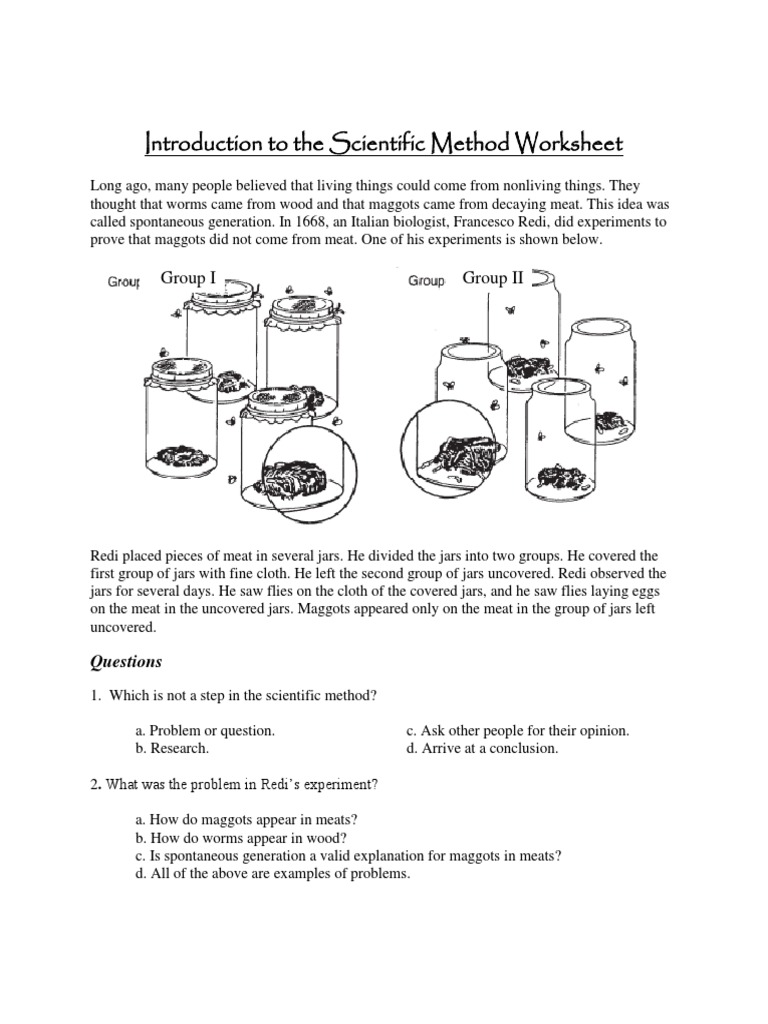 Introduction To The Scientific Method Worksheet  Organisms  Science Within Scientific Method Examples Worksheet