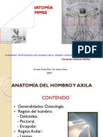 1. Anatomía Del Hombro y Axila