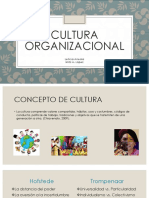Cultura Organizacional, Presentación Completa