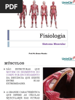 Aula 7 - Sistema Muscular