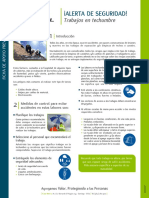 Trabajo en Techumbres PDF