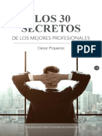 LOS 30 SECRETOS DE LOS MEJORES PROFESIONALES.pdf