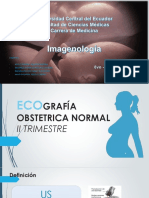 IMAGENOLOIA -FUNAL