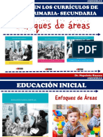 ENFOQUE DE LAS AREAS.pdf