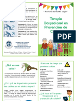 Prevención de Caídas Adulto Mayor