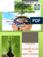 conservacion-opcional-140802165958-phpapp02 (1).pptx