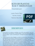 proyectodeplantasmedicinales-120607202543-phpapp01