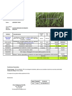 Cotización de Grass Sintetico - Euro Grass Bicolor